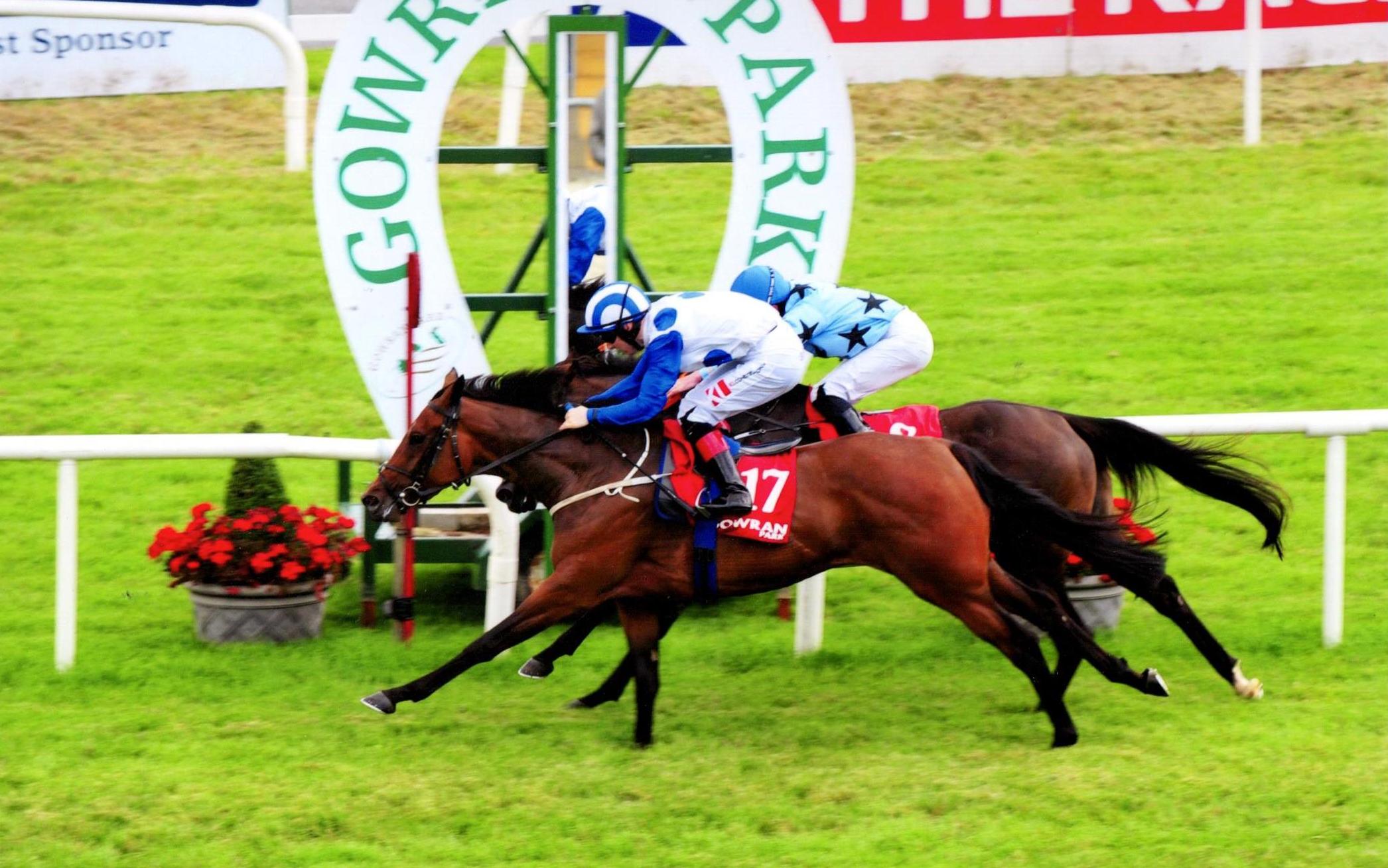 ALWAYS DANCING lands her second success of the week at Gowran 22nd July 2017